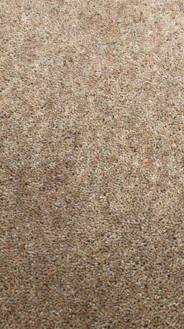 >VICTORIA TWIST 40 GOLDEN GLOW ...............................................SOLD.............................................